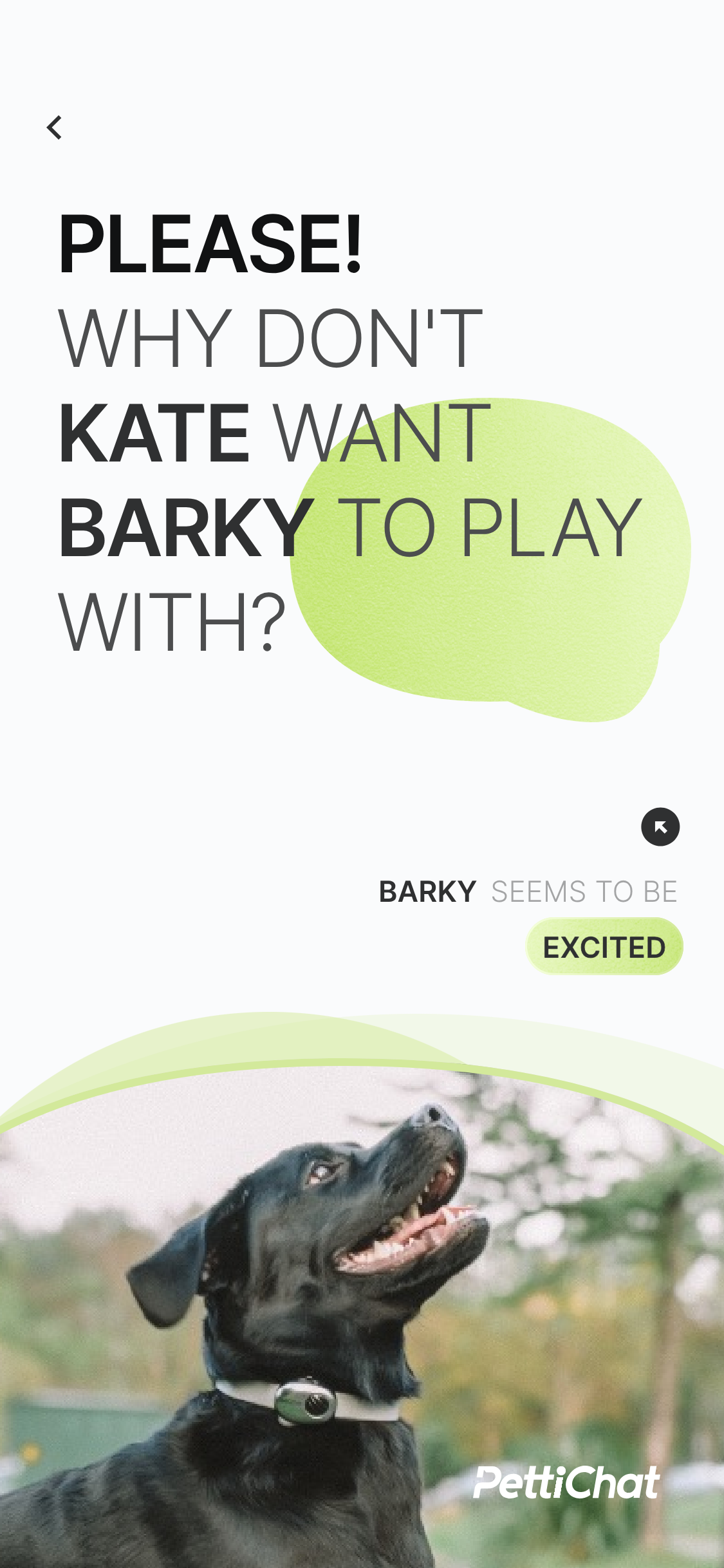 A promotional pet app graphic for PettiChat featuring a black dog looking up with the text 'PLEASE! WHY DON'T KATE WANT BARKY TO PLAY WITH?' and buttons labeled 'BARKY SEEMS TO BE' and 'EXCITED'.
