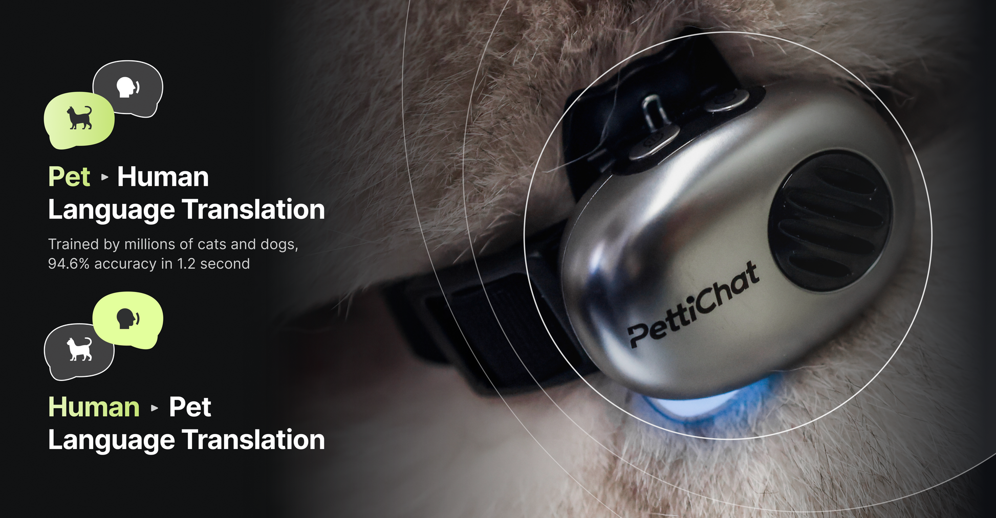 A close-up of a pet collar with a metallic silver PettiChat translator device worn on a cat's neck, with a blue light glowing near the collar. Text on the left highlights 'Pet • Human Language Translation' and 'Human • Pet Language Translation' with icons.