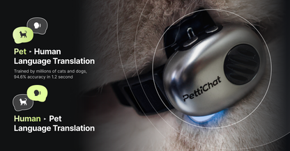 A close-up of a pet collar with a metallic silver PettiChat translator device worn on a cat's neck, with a blue light glowing near the collar. Text on the left highlights 'Pet • Human Language Translation' and 'Human • Pet Language Translation' with icons.