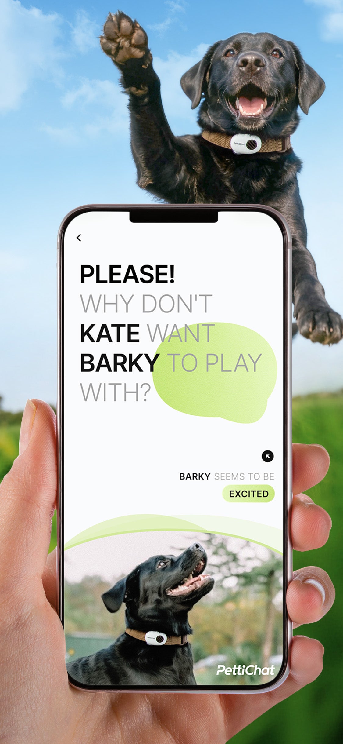 A hand holds a smartphone showing a PetiChot app screen with text about Barky, while a black dog jumps excitedly in the background against a blue sky and green grass.