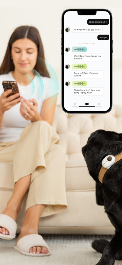 A woman sits on a cream sofa using her phone, with a large smartphone screen overlay showing a messaging conversation. A black dog wearing a collar is visible in the foreground.