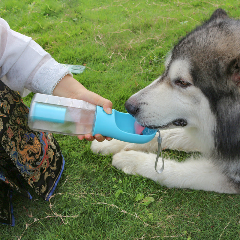 Lumii 3-in-1 Adventure Hydration Bottle for Dogs & Cats