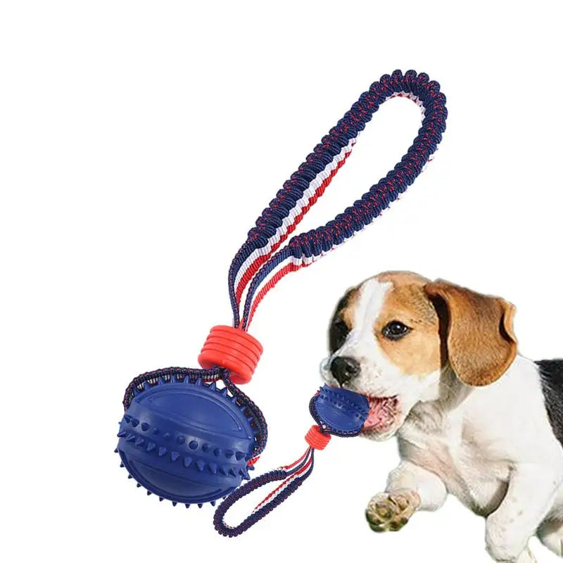 Lumii Interactive Rope & Chew Ball
