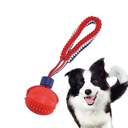 Lumii Interactive Rope & Chew Ball