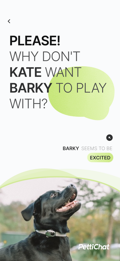 A promotional pet app graphic for PettiChat featuring a black dog looking up with the text 'PLEASE! WHY DON'T KATE WANT BARKY TO PLAY WITH?' and buttons labeled 'BARKY SEEMS TO BE' and 'EXCITED'.